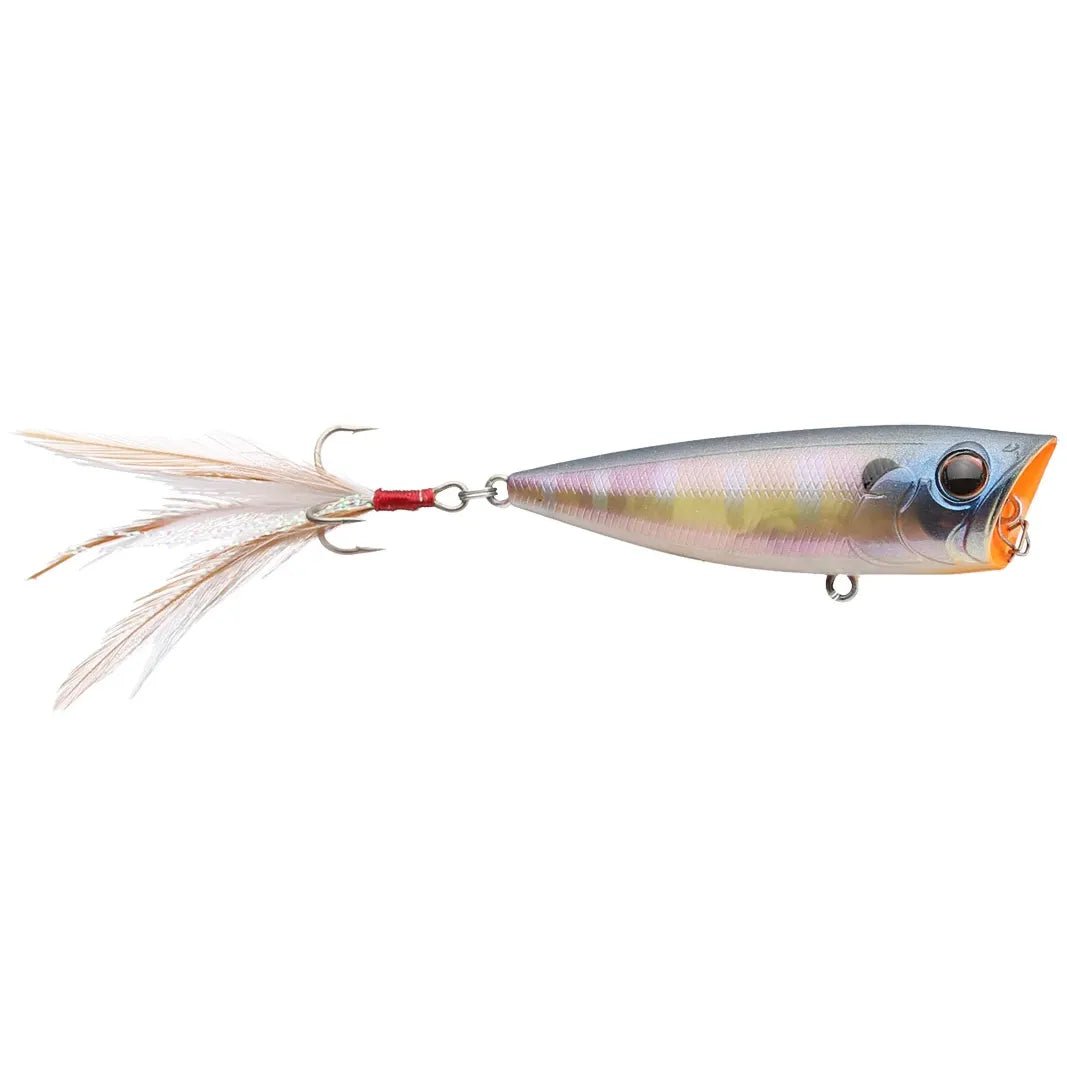EVERGREEN OB POPPER - Tackle Shack TX