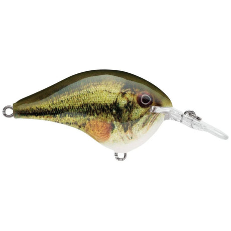 Rapala DT Dives - To Series Crankbait - Tackle Shack TX