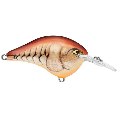 Rapala DT Dives - To Series Crankbait - Tackle Shack TX