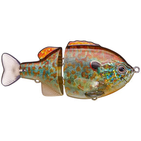Tiny Bullshooter 100 - Tackle Shack TX