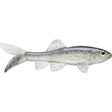 Little Creeper All American Trash Fish Swimbaits - Tackle Shack TX