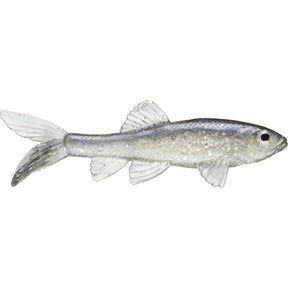 Little Creeper All American Trash Fish Swimbaits - Tackle Shack TX