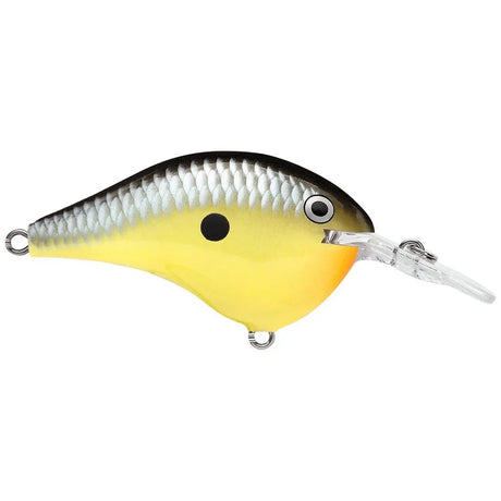 Rapala DT Dives - To Series Crankbait - Tackle Shack TX