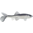 Little Creeper All American Trash Fish Swimbaits - Tackle Shack TX