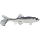 Little Creeper All American Trash Fish Swimbaits - Tackle Shack TX