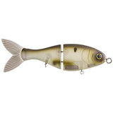 TRICK SHAD - 8"(3OZ) - Tackle Shack TX