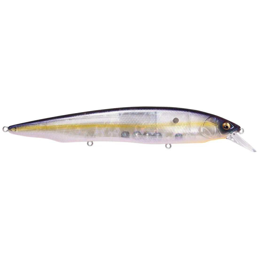 KANATA - Tackle Shack TX