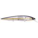 KANATA - Tackle Shack TX
