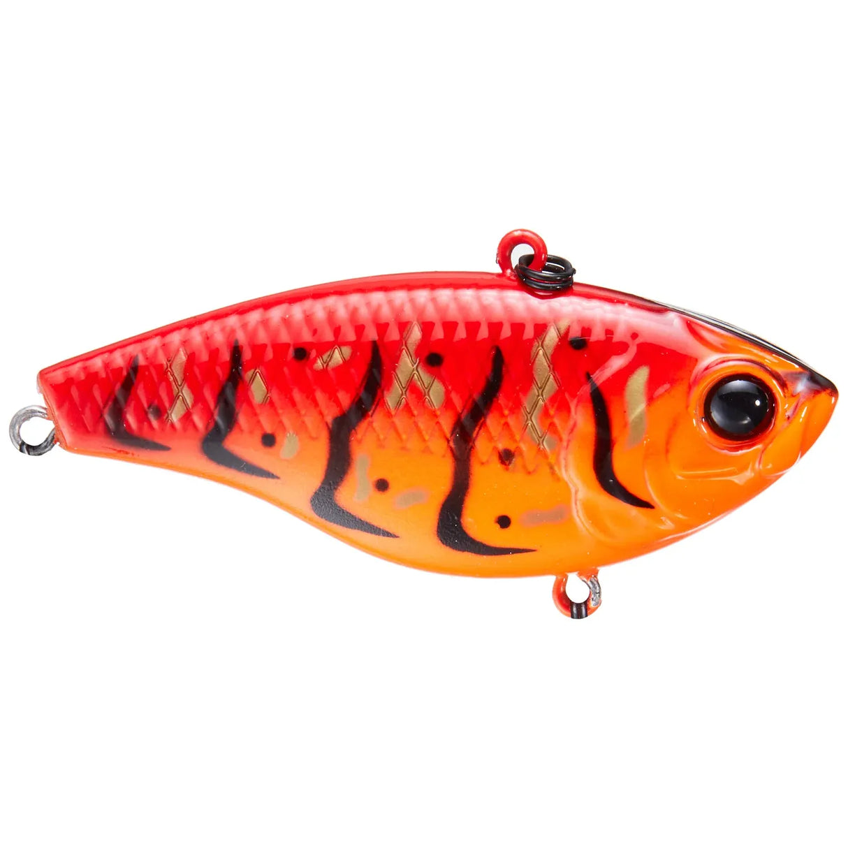 Duke 55 / 65 - Tackle Shack TX