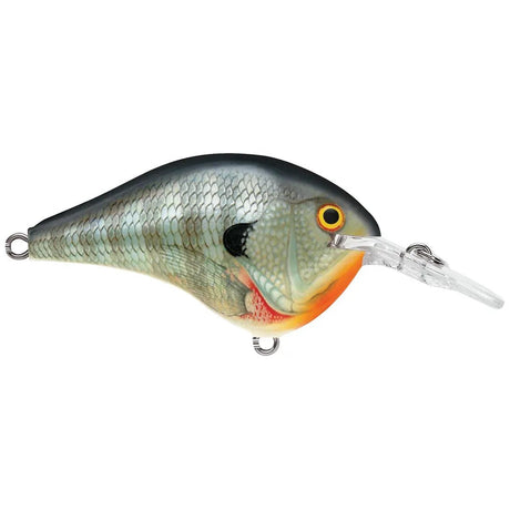 Rapala DT Dives - To Series Crankbait - Tackle Shack TX