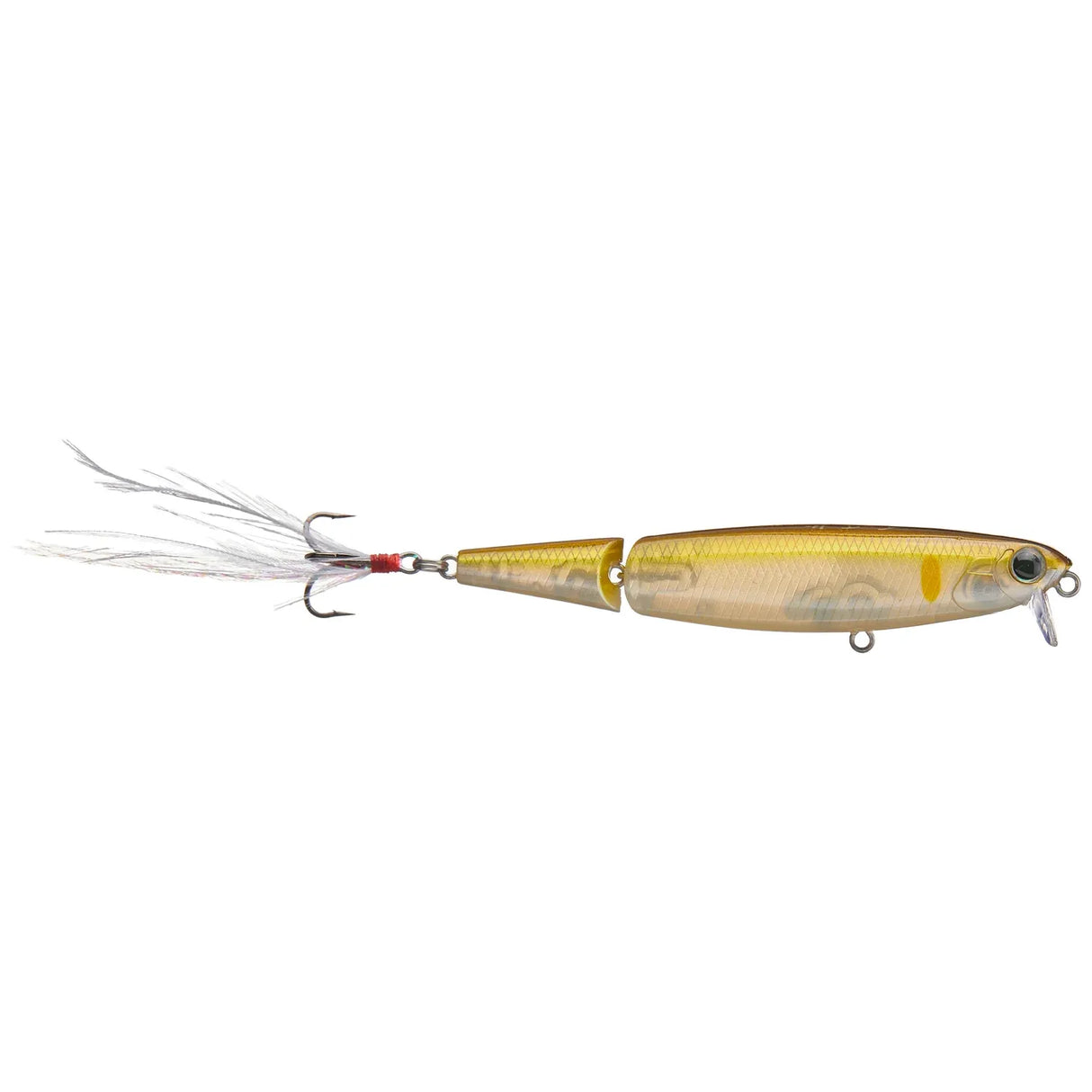 EVERGREEN JXJ - Tackle Shack TX