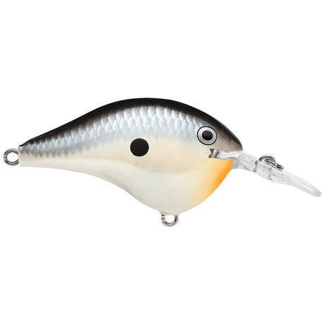 Rapala DT Dives - To Series Crankbait - Tackle Shack TX