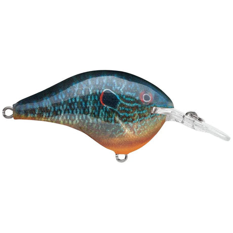 Rapala DT Dives - To Series Crankbait - Tackle Shack TX