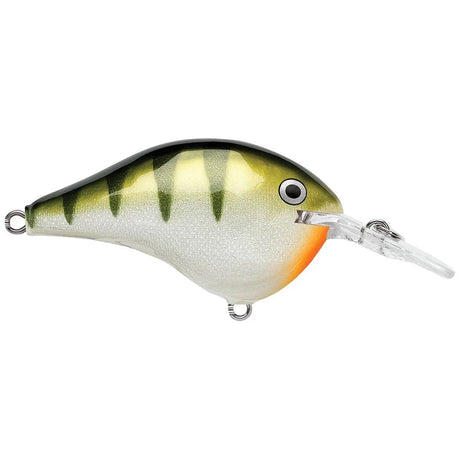 Rapala DT Dives - To Series Crankbait - Tackle Shack TX
