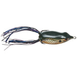 BRONZEYE FROG 60