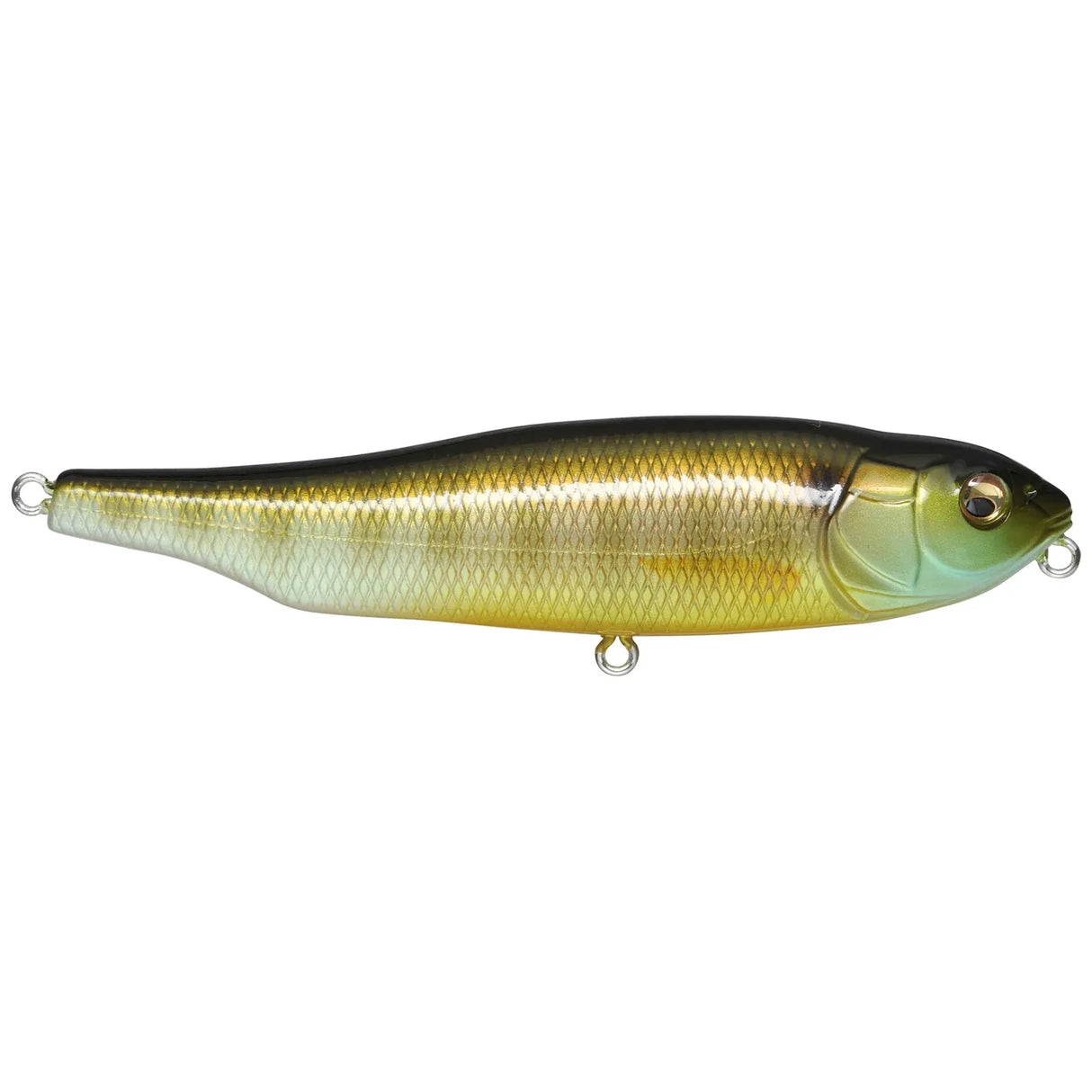 GIANT DOG - X - Tackle Shack TX