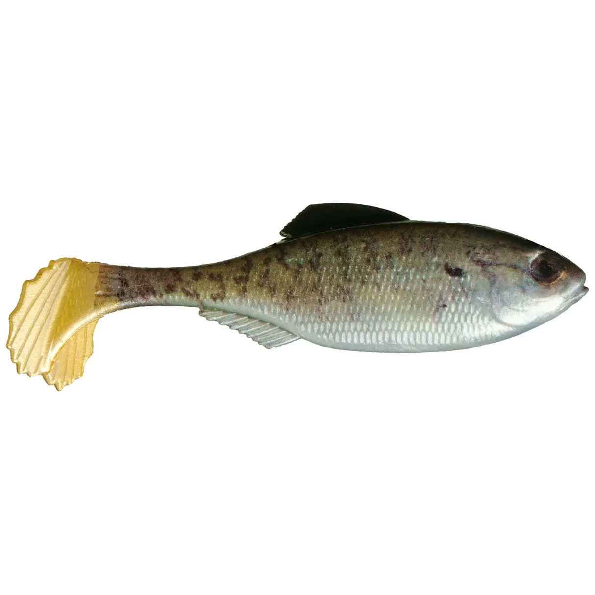Panorama Swimbait - Tackle Shack TX