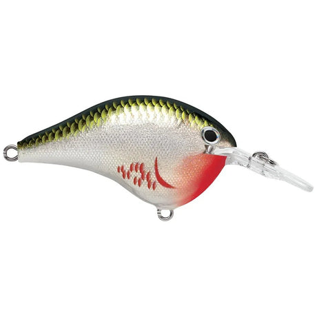 Rapala DT Dives - To Series Crankbait - Tackle Shack TX