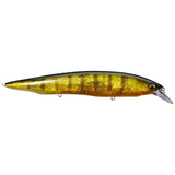 KANATA - Tackle Shack TX