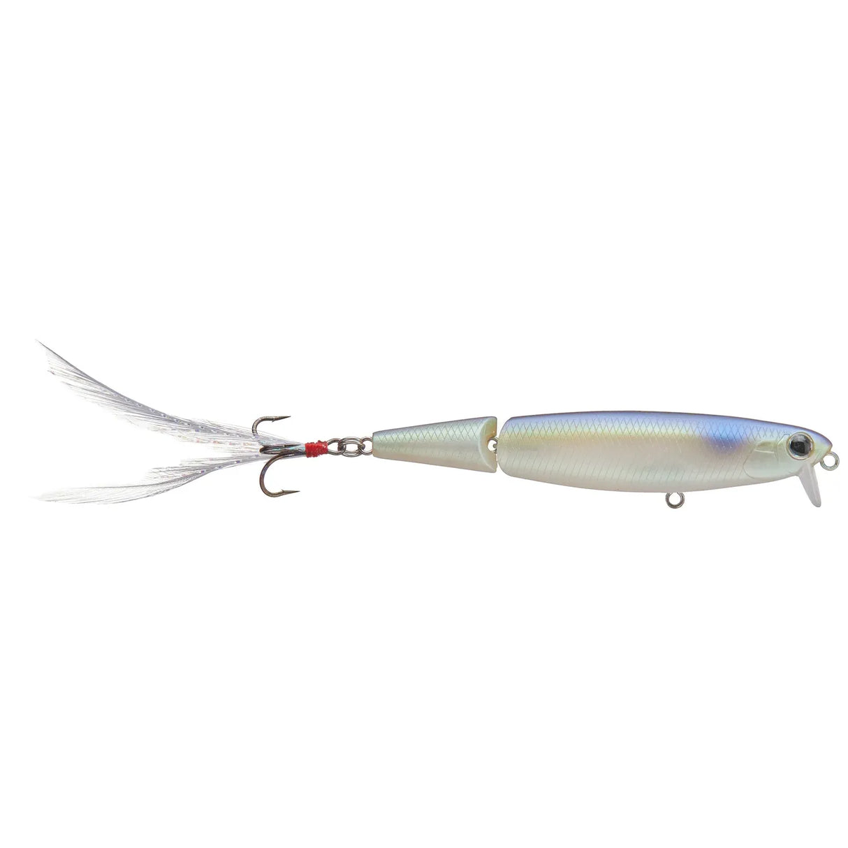 EVERGREEN JXJ - Tackle Shack TX