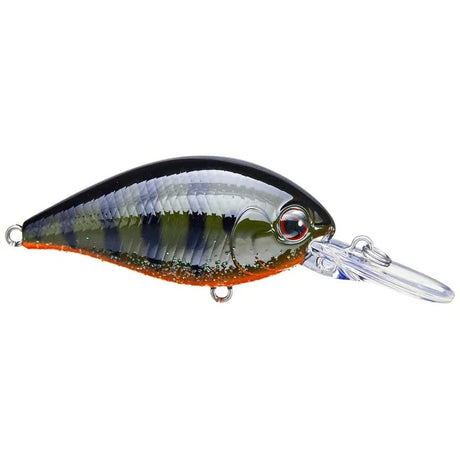 EVERGREEN CR CRANKBAIT, 8 FEET - Tackle Shack TX
