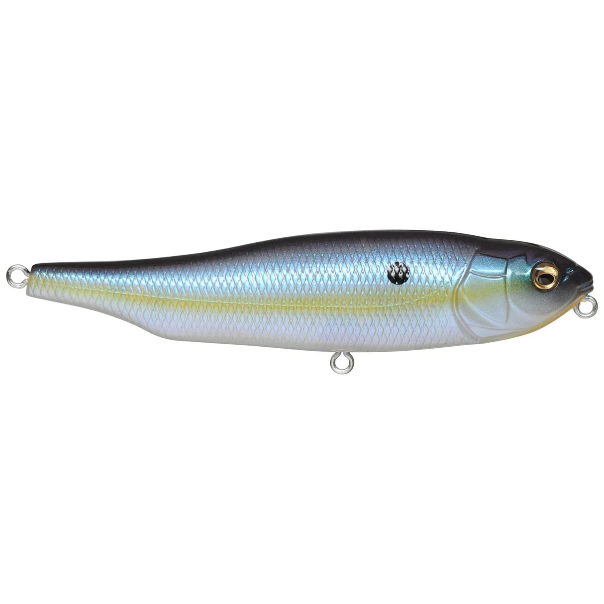 GIANT DOG - X - Tackle Shack TX
