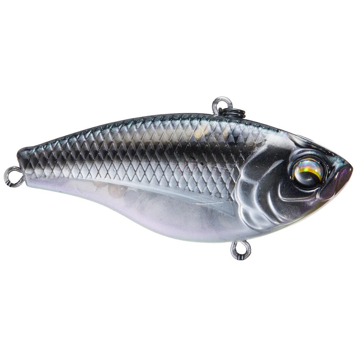 Duke 55 / 65 - Tackle Shack TX