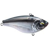 Duke 55 / 65 - Tackle Shack TX