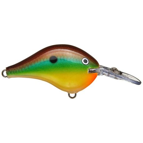 Rapala DT Dives - To Series Crankbait - Tackle Shack TX