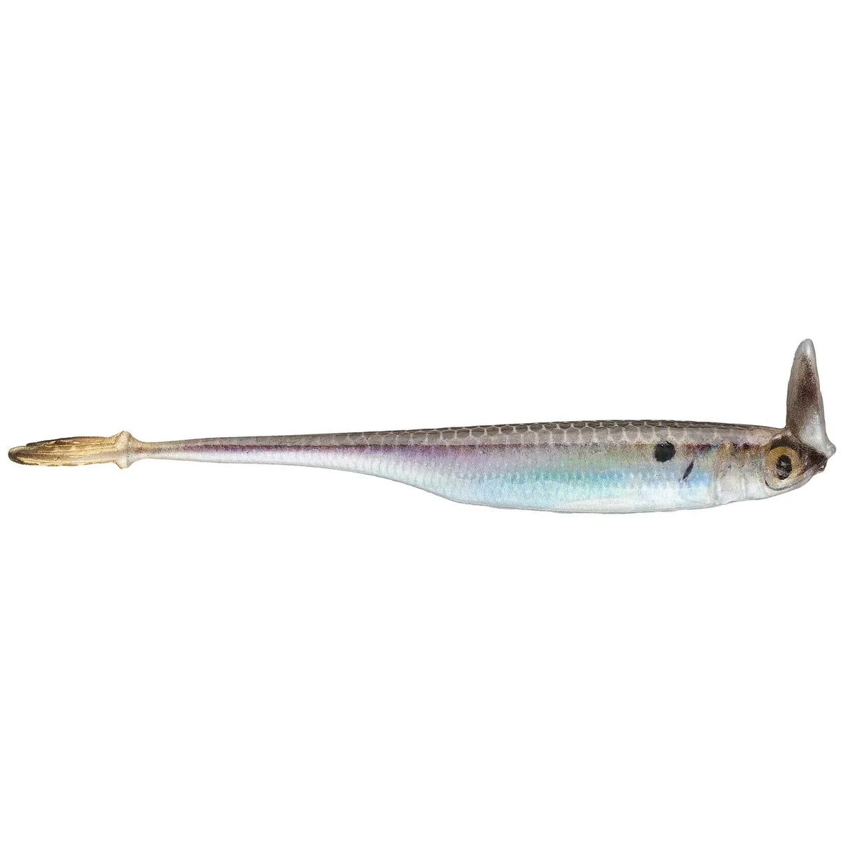 Strobe Shaker - Tackle Shack TX