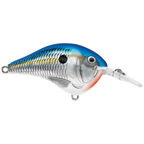 Rapala DT Dives - To Series Crankbait - Tackle Shack TX
