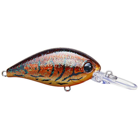 EVERGREEN CR CRANKBAIT, 16 FEET - Tackle Shack TX