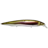 KANATA - Tackle Shack TX