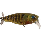 Buzz Jet JR - Tackle Shack TX