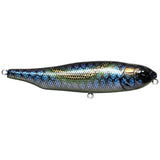 GIANT DOG - X - Tackle Shack TX