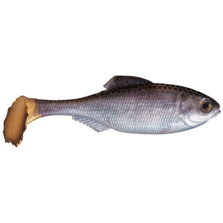 Panorama Swimbait - Tackle Shack TX