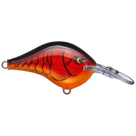 Rapala DT Dives - To Series Crankbait - Tackle Shack TX