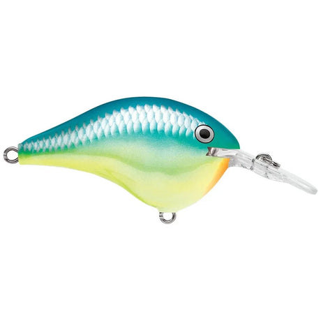 Rapala DT Dives - To Series Crankbait - Tackle Shack TX