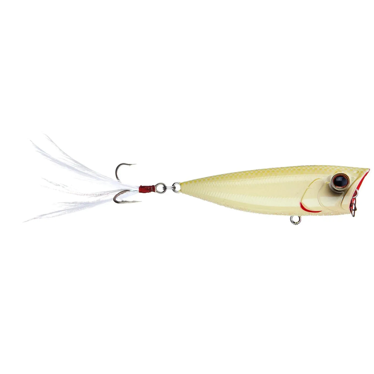 EVERGREEN OB POPPER - Tackle Shack TX