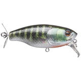 Buzz Jet JR - Tackle Shack TX
