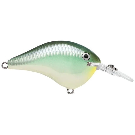 Rapala DT Dives - To Series Crankbait - Tackle Shack TX