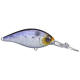 EVERGREEN CR CRANKBAIT, 16 FEET - Tackle Shack TX