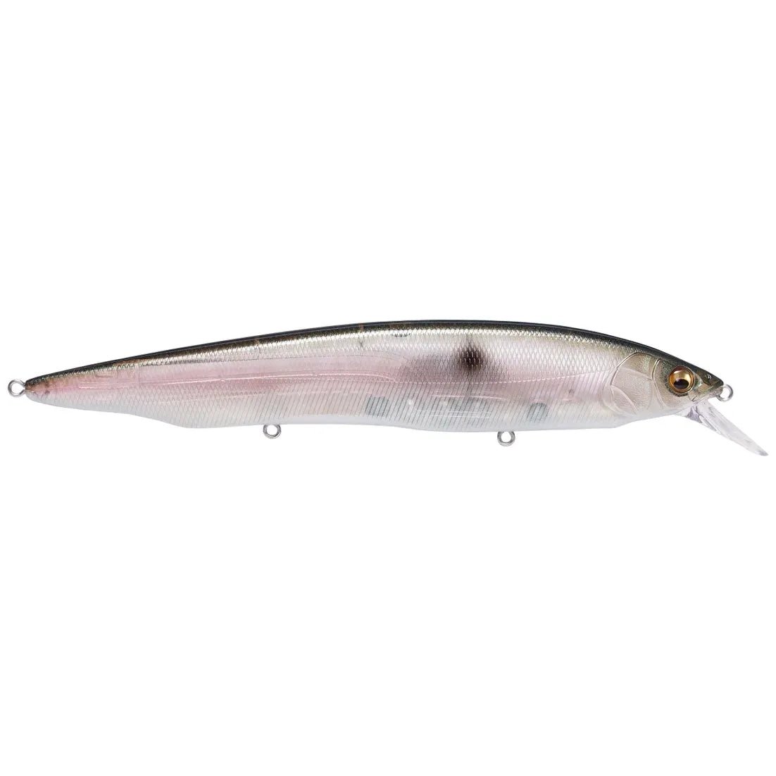KANATA - Tackle Shack TX