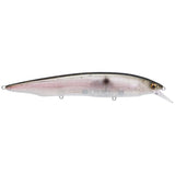 KANATA - Tackle Shack TX