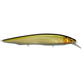 KANATA - Tackle Shack TX