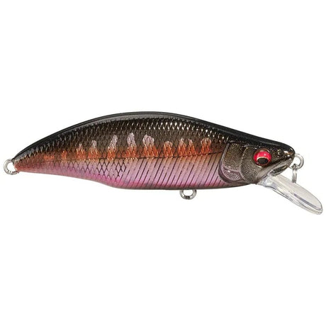GH51 HUMPBACK (FS) - Tackle Shack TX