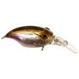 GRIFFON MR - X (BFS) - Tackle Shack TX
