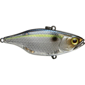 TN 70 - Tackle Shack TX