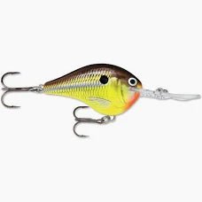 Rapala DT Dives - To Series Crankbait - Tackle Shack TX