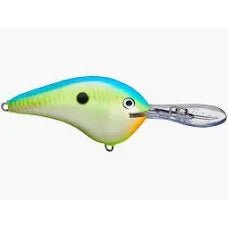Rapala DT Dives - To Series Crankbait - Tackle Shack TX